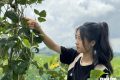 Cô gái Mông 2 lần mất bố thành nữ sinh viên đại học đầu tiên của buôn Plao Siêng